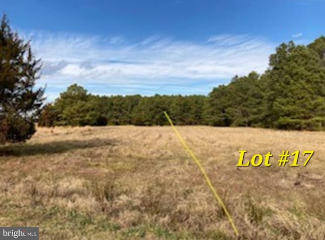 Listing photo 3 for 814 Cody Dr Lot 17, Cambridge MD 21613