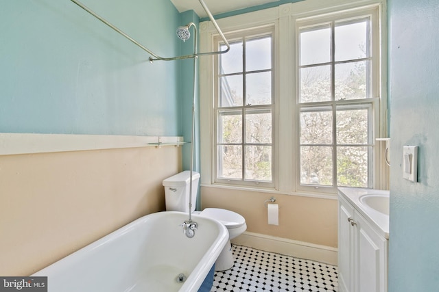 bathroom featuring a tub, a wealth of natural light, and vanity