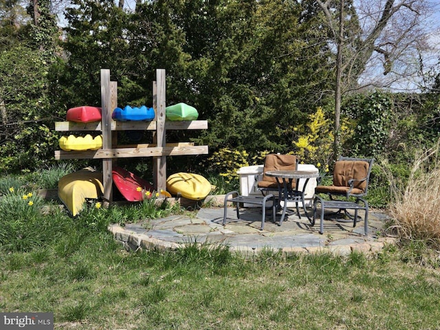 view of yard featuring a patio