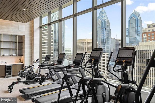 workout area featuring a healthy amount of sunlight and beverage cooler