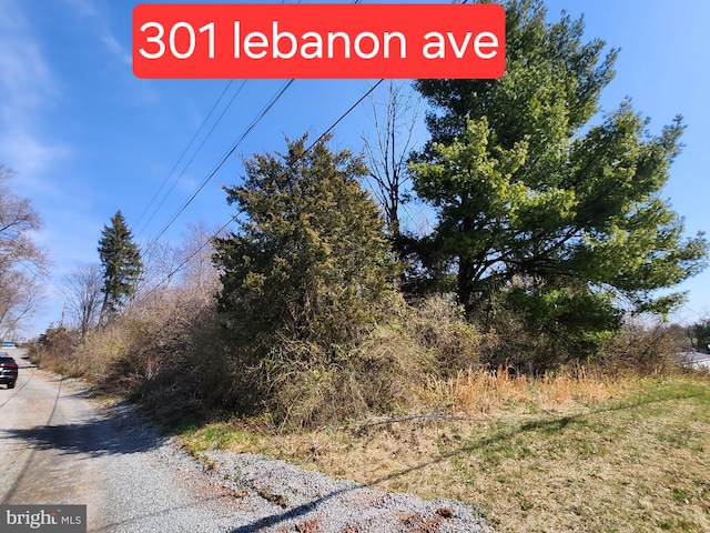 Listing photo 2 for 301 Lebanon Ave, Birdsboro PA 19508