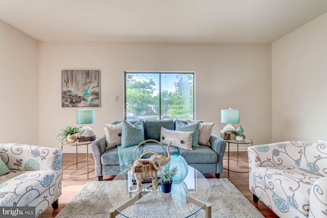 living room with light hardwood / wood-style flooring