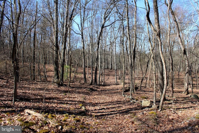 LOT7 Hamilton Estates Dr, Romney WV, 26757 land for sale