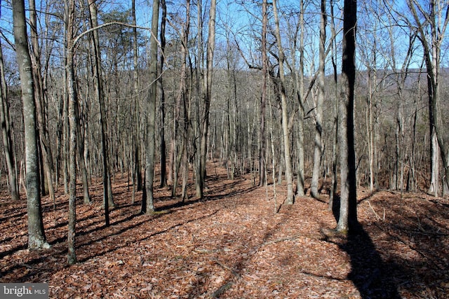 Listing photo 2 for LOT7 Hamilton Estates Dr, Romney WV 26757