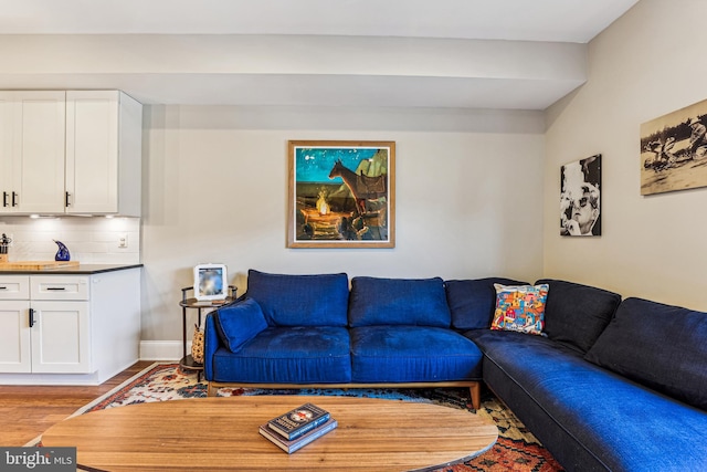 living room with light hardwood / wood-style flooring