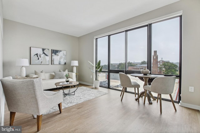 living room with light hardwood / wood-style floors