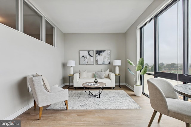 living area with light hardwood / wood-style floors