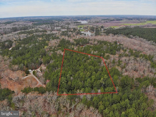 Occanecchi Trl, Ebony VA, 23845 land for sale