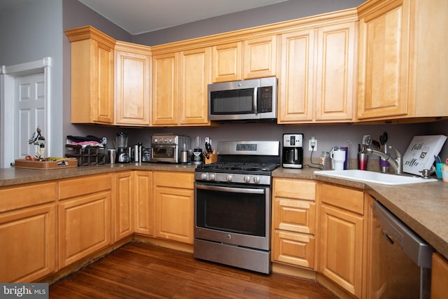 kitchen featuring dark wood-type flooring, sink, and stainless steel appliances