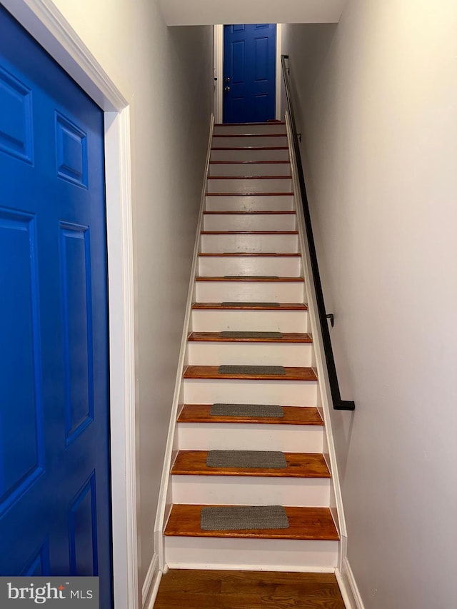 staircase with dark hardwood / wood-style floors