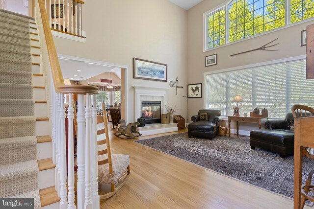 living room with hardwood / wood-style flooring, a healthy amount of sunlight, and a high ceiling