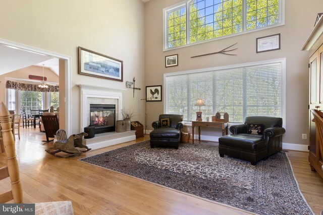 living room featuring hardwood / wood-style flooring and a towering ceiling