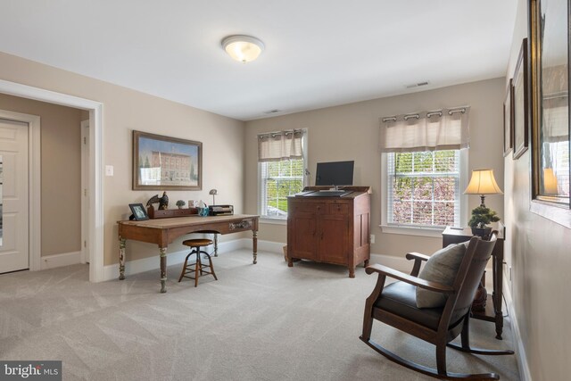 office area featuring light colored carpet