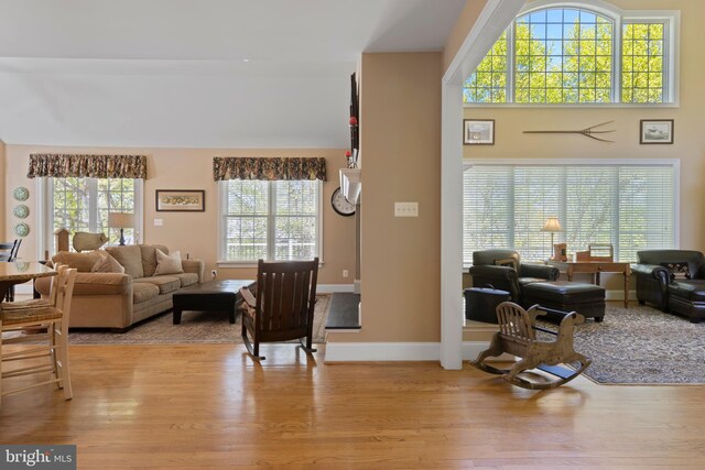 living room featuring light hardwood / wood-style flooring and a high ceiling