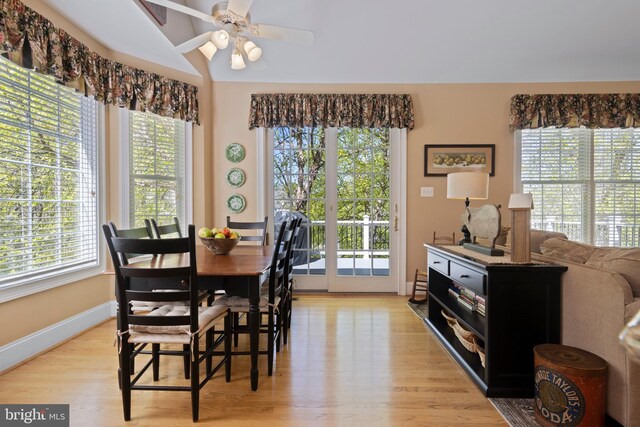 dining area with ceiling fan, lofted ceiling, and light wood-type flooring