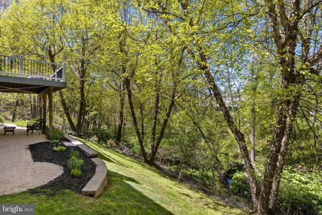 view of yard featuring a patio