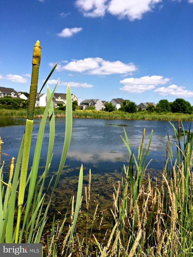 water view