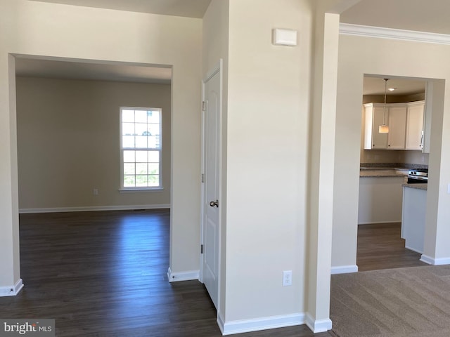 hallway featuring crown molding and dark wood-type flooring