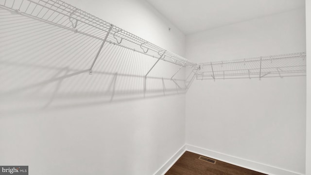 walk in closet featuring hardwood / wood-style floors