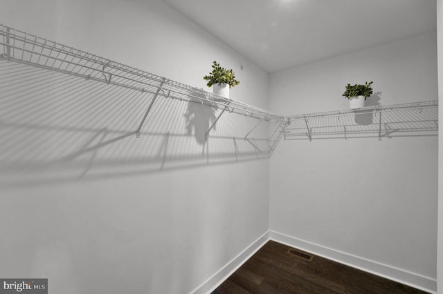 walk in closet with hardwood / wood-style floors