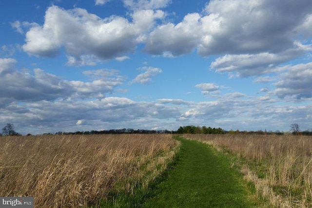 view of local wilderness featuring a rural view