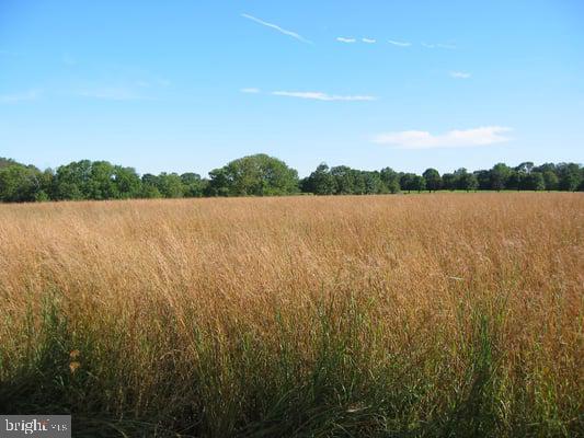 view of mother earth's splendor featuring a rural view