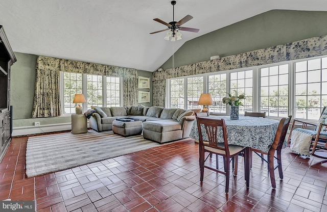 interior space featuring a healthy amount of sunlight, vaulted ceiling, a baseboard radiator, and ceiling fan