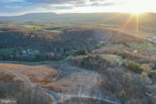 TBD New Market Depot Rd, New Market VA, 22844 land for sale