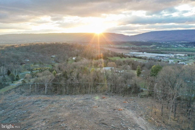 Listing photo 2 for TBD New Market Depot Rd, New Market VA 22844