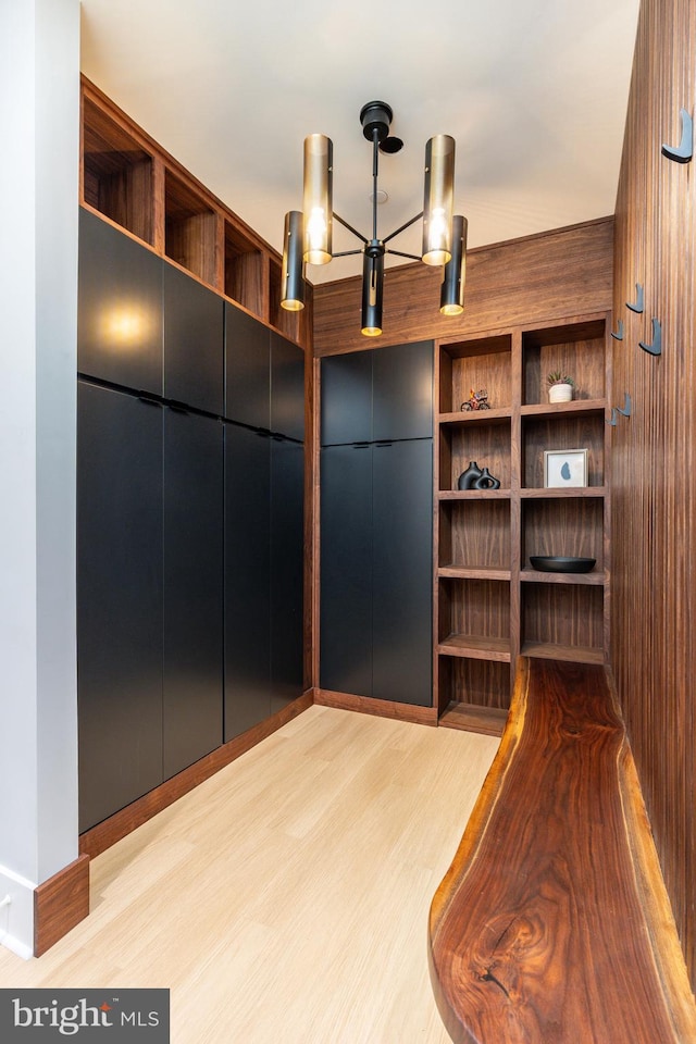 walk in closet with light wood-type flooring