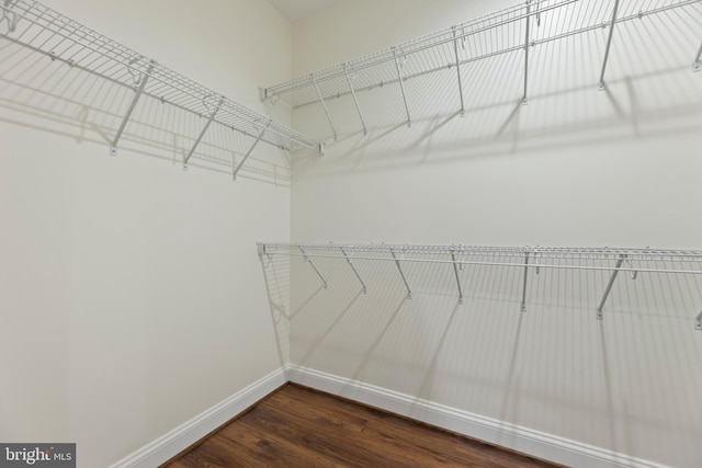 spacious closet featuring dark wood-type flooring