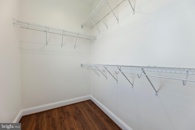 walk in closet featuring dark wood-type flooring