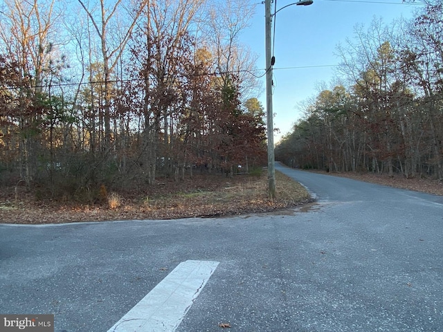 Address Not Disclosed, Landing NJ, 08330 land for sale