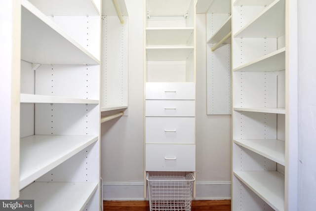 spacious closet featuring wood-type flooring