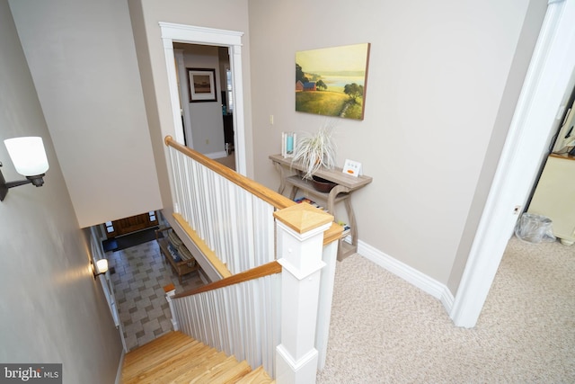 staircase with carpet