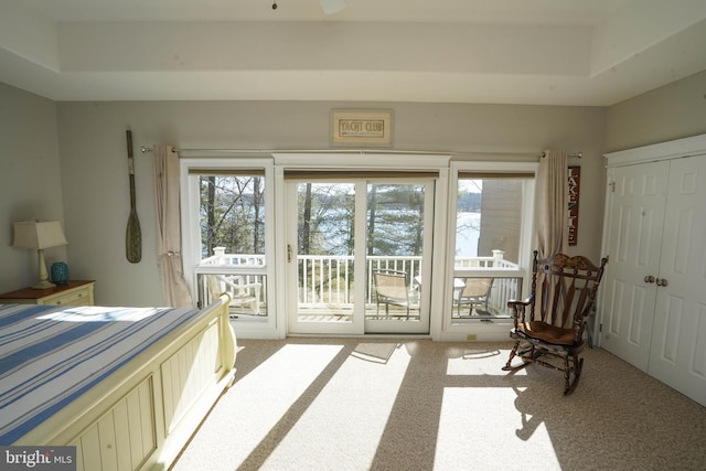 bedroom with multiple windows, access to outside, light carpet, and a closet