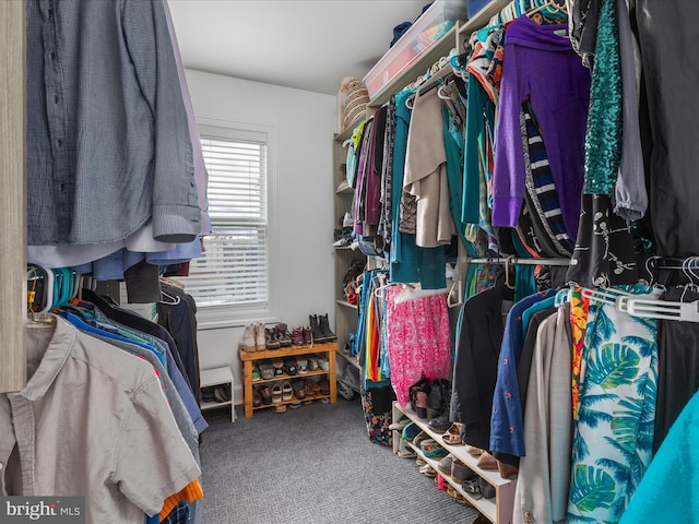 spacious closet featuring carpet floors