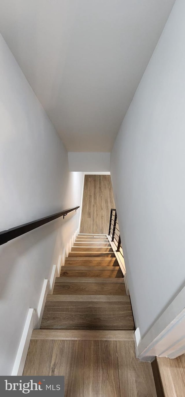 stairway featuring wood-type flooring