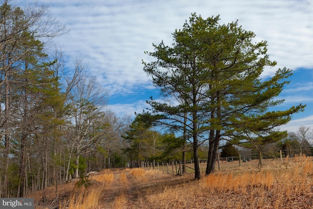 view of nature