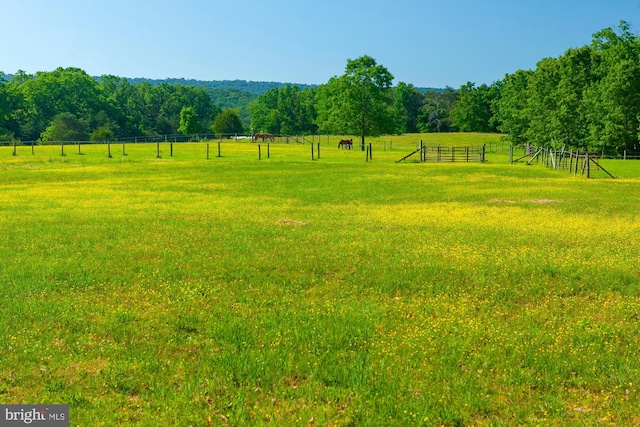 view of yard with a rural view