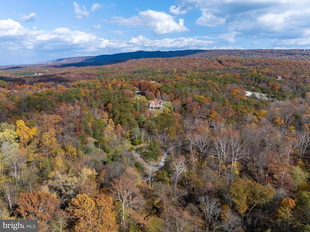 bird's eye view featuring a mountain view