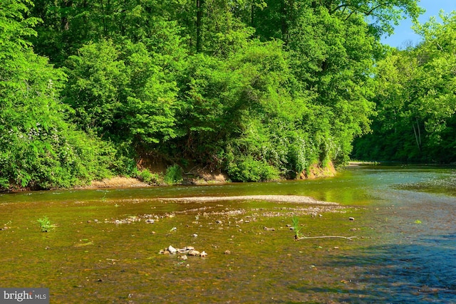 view of local wilderness featuring a water view