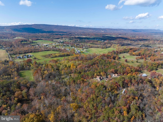 birds eye view of property featuring a mountain view