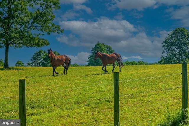 view of yard featuring a rural view