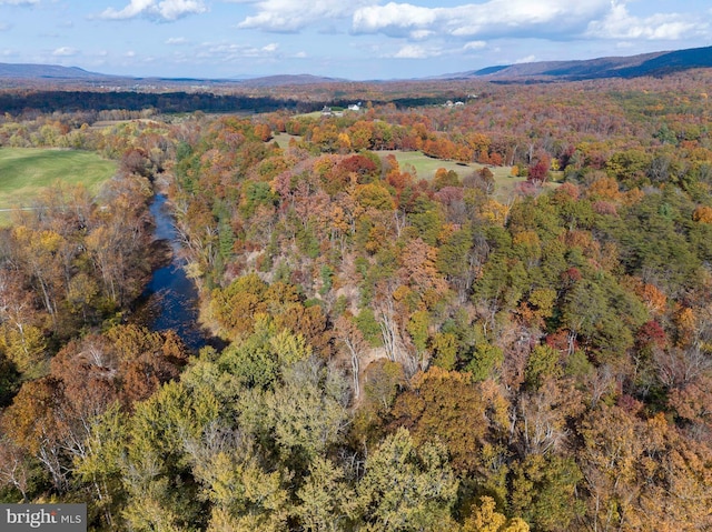 birds eye view of property featuring a mountain view