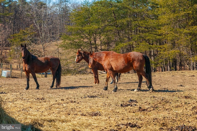 view of stable