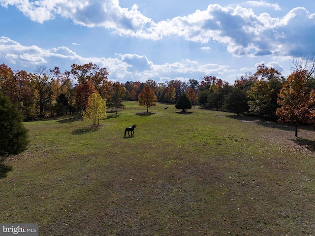 view of yard featuring a rural view