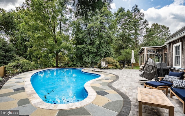 view of pool featuring a patio area