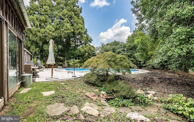 view of yard with a patio