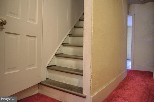 stairs featuring dark colored carpet